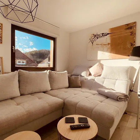 Ar Apartments I 4 Pers I Prime I Kueche I Wlan I Office Rudolstadt Buitenkant foto