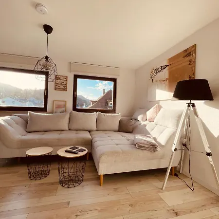 Ar Apartments I 4 Pers I Prime I Kueche I Wlan I Office Rudolstadt Buitenkant foto
