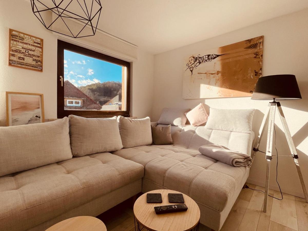 Rust-modernes Mit Prime, Küche, Wlan, Garten Apartment Rudolstadt